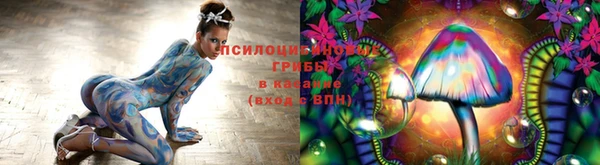 mix Арсеньев