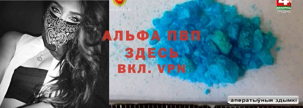 стаф Аркадак