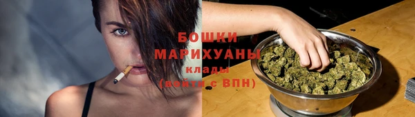 стаф Аркадак