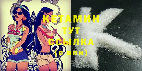 стаф Аркадак