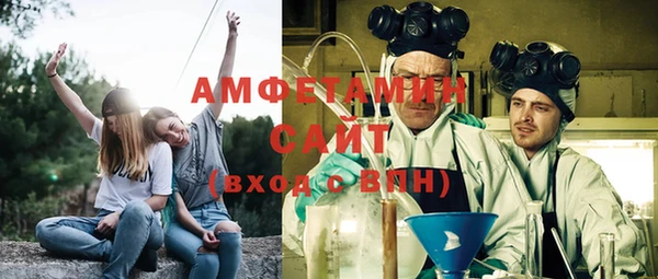 стаф Аркадак