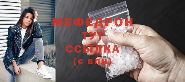 стаф Аркадак