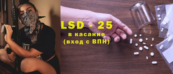 стаф Аркадак